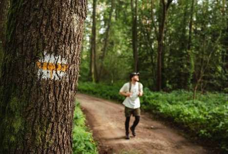 Miško Takas 54. Didžiasalis – Druskininkai – Žiogeliai.