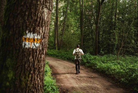 Miško Takas 54. Didžiasalis – Druskininkai – Žiogeliai.