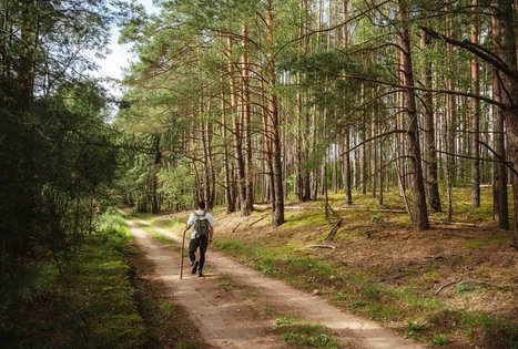 Miško Takas 54. Didžiasalis – Druskininkai – Žiogeliai.