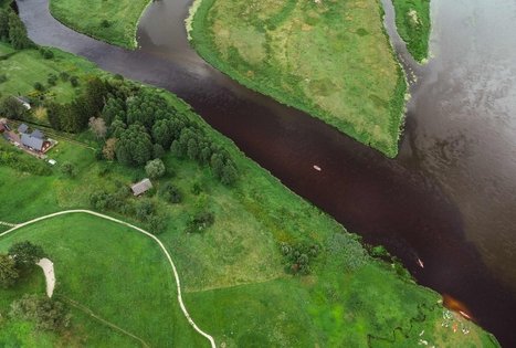 Miško Takas 55. Žiogeliai – Merkinė.