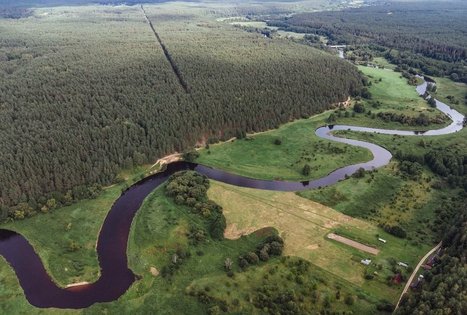 Miško Takas 56. Merkinė – Nemunaitis.