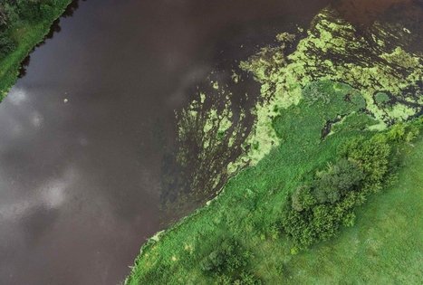 Miško Takas 55. Žiogeliai – Merkinė.