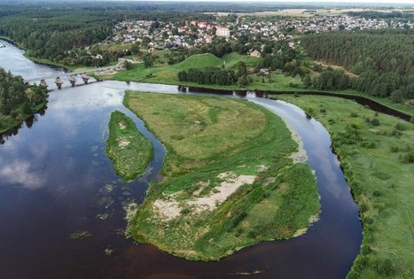 Miško Takas 55. Žiogeliai – Merkinė.