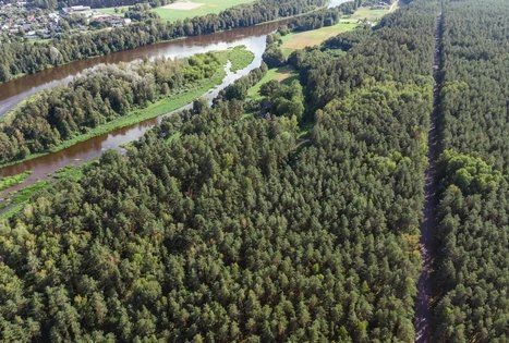 Miško Takas 54. Didžiasalis – Druskininkai – Žiogeliai.