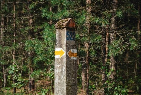 Miško Takas 51. Lazdijai – Veisiejai.