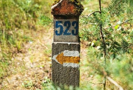 Miško Takas 51. Lazdijai – Veisiejai.