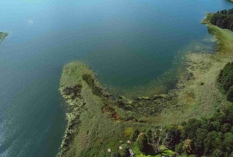 Miško Takas 51. Lazdijai – Veisiejai.