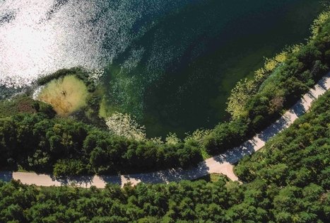 Miško Takas 53. Trikojis – Didžiasalis.