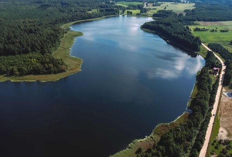 Miško Takas 53. Trikojis – Didžiasalis.