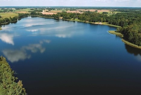 Miško Takas 53. Trikojis – Didžiasalis.