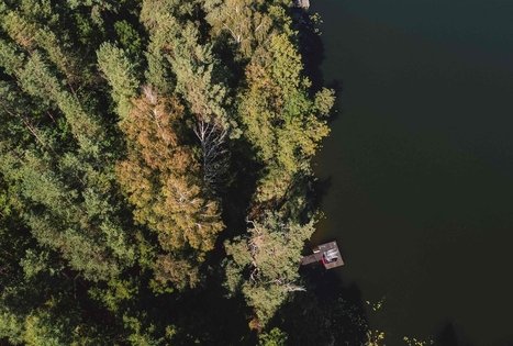 Miško Takas 53. Trikojis – Didžiasalis.