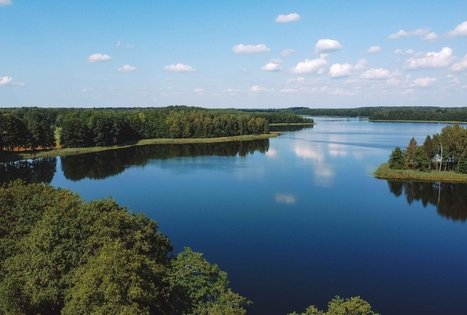Miško Takas 53. Trikojis – Didžiasalis.