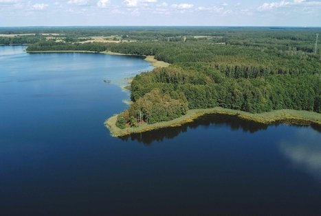 Miško Takas 53. Trikojis – Didžiasalis.