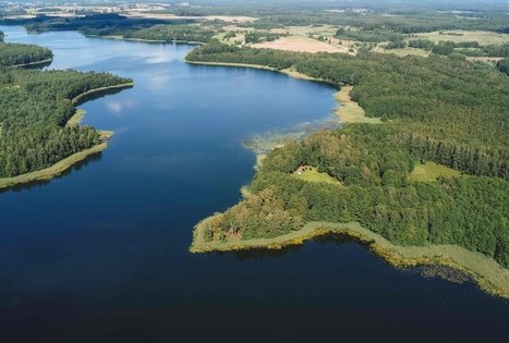 Miško Takas 53. Trikojis – Didžiasalis.