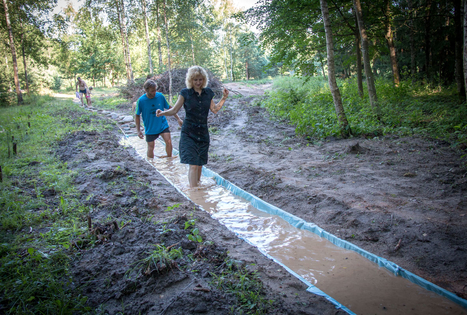 Basakojų takas Survilų kaimo turizmo sodyboje
