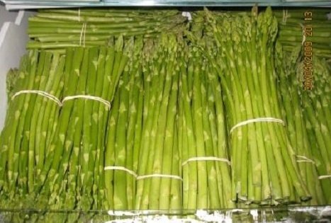 Jurgitos Krištopaitienės šparagų ūkis