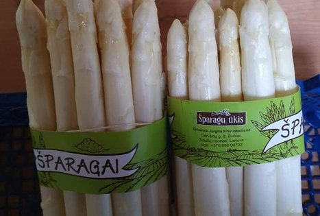 Jurgitos Krištopaitienės šparagų ūkis