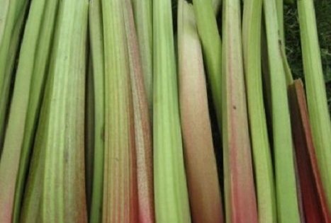 Jurgitos Krištopaitienės šparagų ūkis