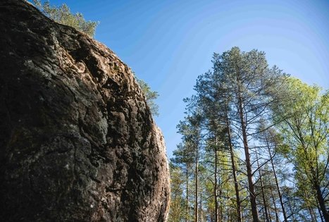 Miško Takas 56. Merkinė – Nemunaitis.