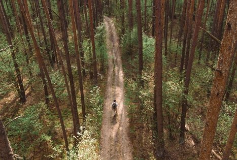 Miško Takas 54. Didžiasalis – Druskininkai – Žiogeliai.