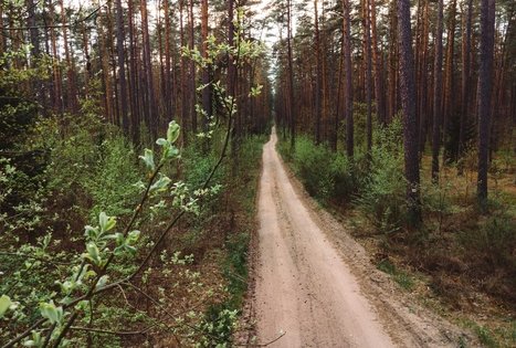 Miško Takas 54. Didžiasalis – Druskininkai – Žiogeliai.