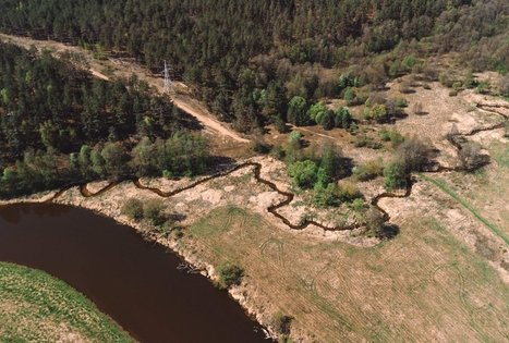 Miško Takas 56. Merkinė – Nemunaitis.