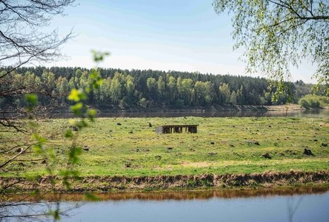 Miško Takas 56. Merkinė – Nemunaitis.