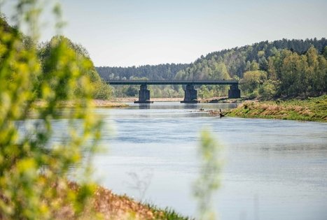 Miško Takas 56. Merkinė – Nemunaitis.