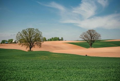 Miško Takas 56. Merkinė – Nemunaitis.