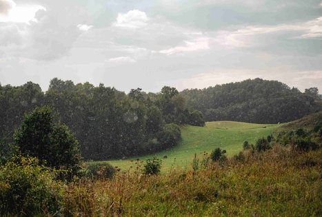 Miško Takas 69. Kirkšnovė – Kaulakiai.