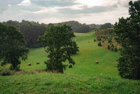 Miško Takas 69. Kirkšnovė – Kaulakiai.