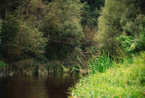 Miško Takas 69. Kirkšnovė – Kaulakiai.