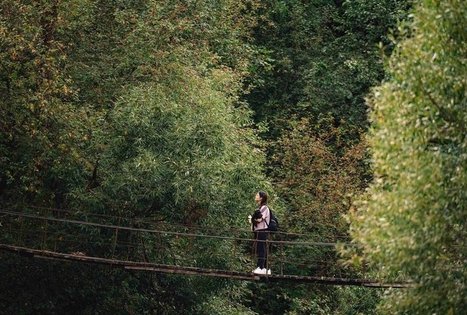 Beždžionių tiltas