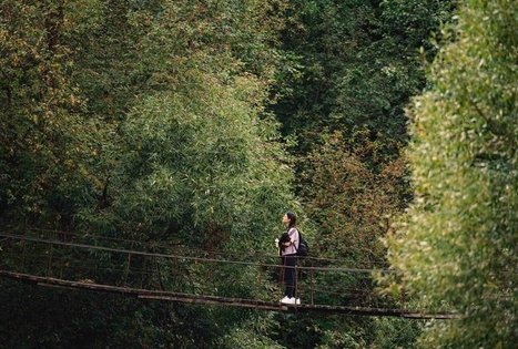 Miško Takas 69. Kirkšnovė – Kaulakiai.