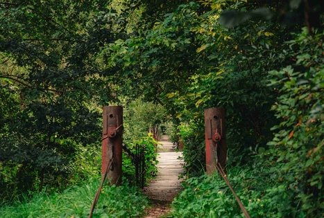 Miško Takas 69. Kirkšnovė – Kaulakiai.