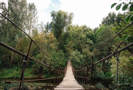 Beždžionių tiltas