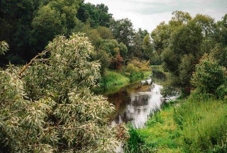 Miško Takas 69. Kirkšnovė – Kaulakiai.