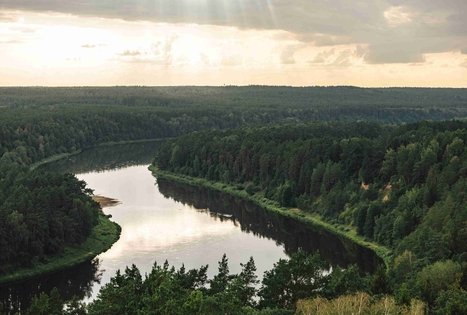 Birštono apžvalgos bokštas