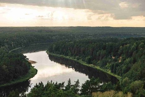 Miško Takas 59. Panemunis – Birštonas.