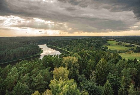 Birštono apžvalgos bokštas