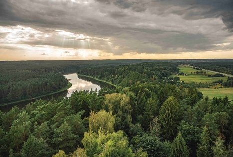 Miško Takas 59. Panemunis – Birštonas.