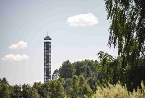 Miško Takas 59. Panemunis – Birštonas.