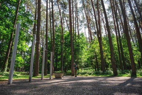 Miško Takas 60. Birštonas – Alksniakiemis.