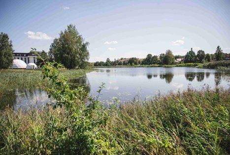 Miško Takas 60. Birštonas – Alksniakiemis.
