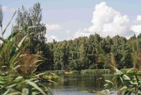 Miško Takas 60. Birštonas – Alksniakiemis.