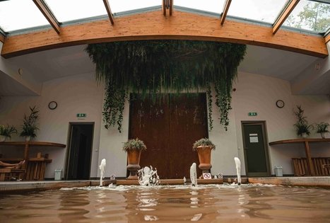 Mineralinio vandens paviljonas “Birutės vila”