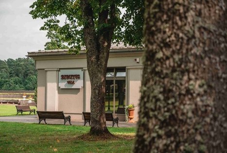 Mineralinio vandens paviljonas “Birutės vila”