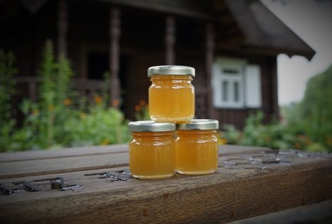 Kvietimas atrasti taikias bites