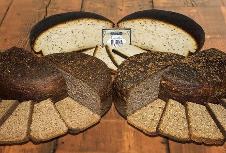 Sodyba „Svajonių dvaras“