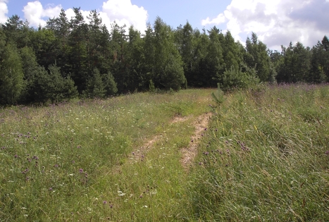 Ekskursija į Būdakalnį visureigiu Mercedes